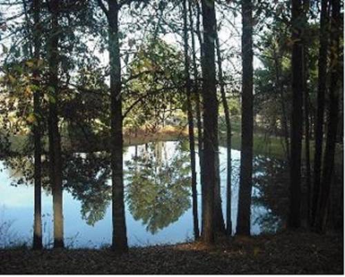 Imagen de la habitación del Pine Creek Country Inn. Foto 6