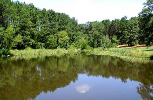 Imagen de la habitación del Pine Creek Country Inn. Foto 12