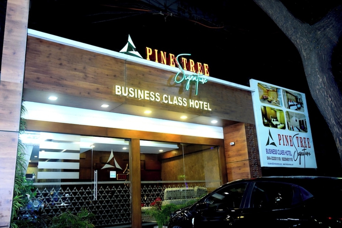 Imagen general del Pine Tree Signature. Foto 1