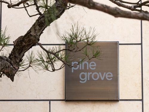 Imagen general del Pinegrove Hotel. Foto 3