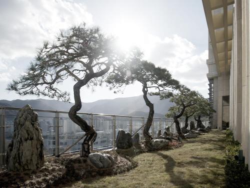 Imagen general del Pinegrove Hotel. Foto 5