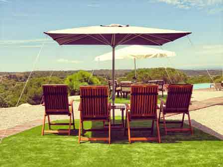 Imagen general del Pinhal da Coutada. Foto 3