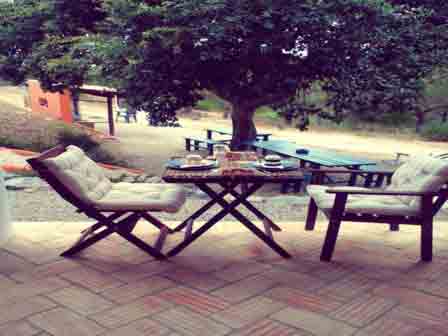 Imagen general del Pinhal da Coutada. Foto 4