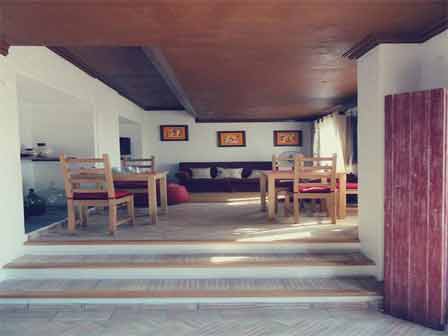 Imagen general del Pinhal da Coutada. Foto 5