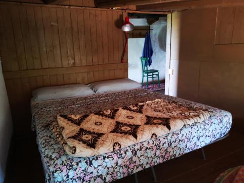 Imagen general del Pinnettu sardo casa di campagna in ecosistema ,Leggere attentamente Prima di prenotare,stanza matrim. Foto 5