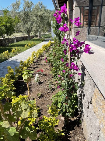 Imagen general del Piri Reis Motel and Restaurant. Foto 3