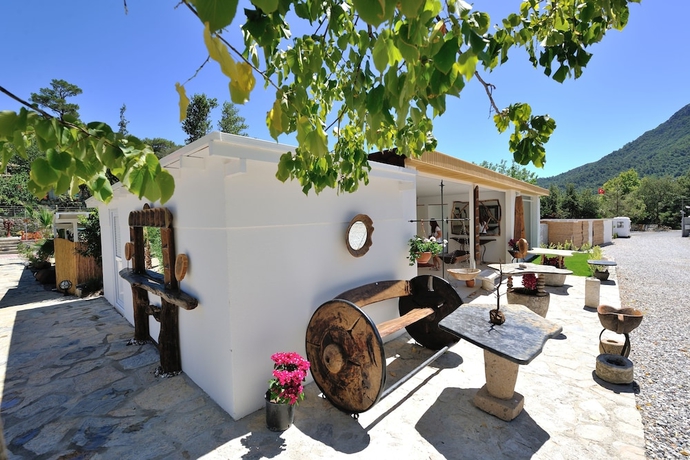 Imagen de los interiores del Pitahaya Home. Foto 17