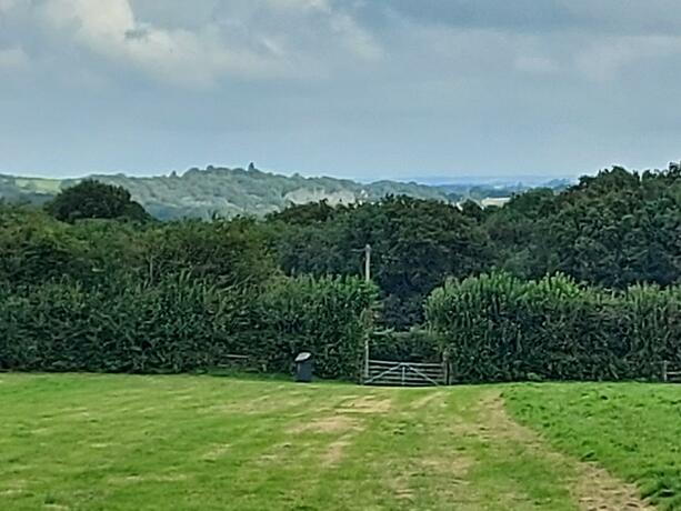 Imagen general del Pitch your own tent in beautiful location Kent Sussex border. Foto 8