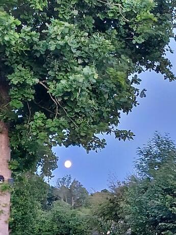 Imagen general del Pitch your own tent in beautiful location Kent Sussex border. Foto 18