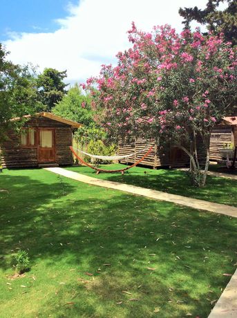 Imagen de los exteriores del Pitos Bungalows. Foto 11