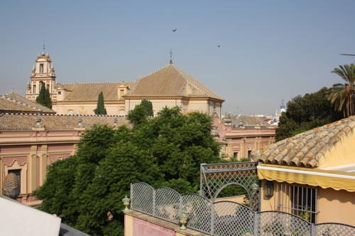 Imagen general del Placentines. Foto 12