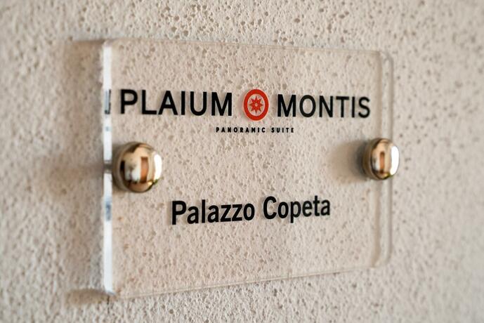 Imagen general del Plaium Montis Copeta. Foto 4