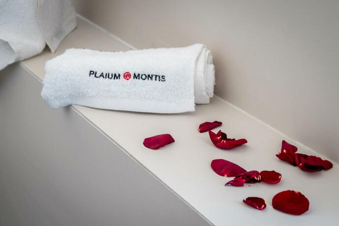 Imagen general del Plaium Montis. Foto 10