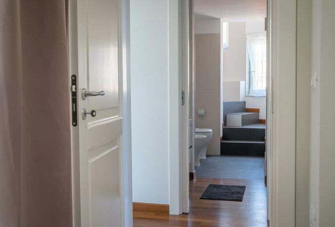 Imagen general del Plaium Montis. Foto 16