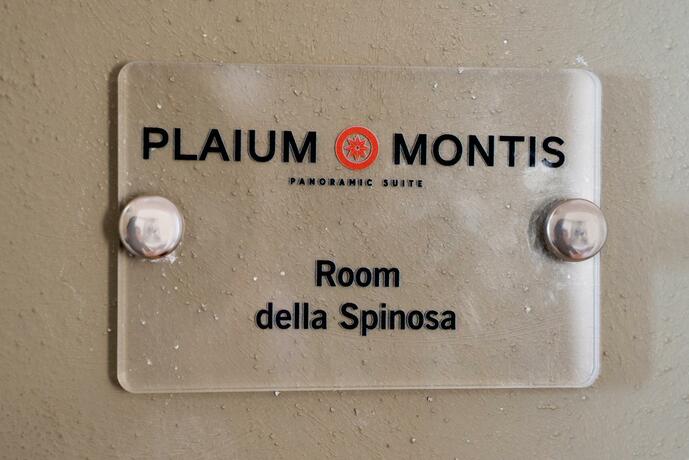 Imagen general del Plaium Montis. Foto 18