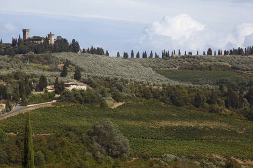 Imagen de la habitación del Podere Le Rondini. Foto 4