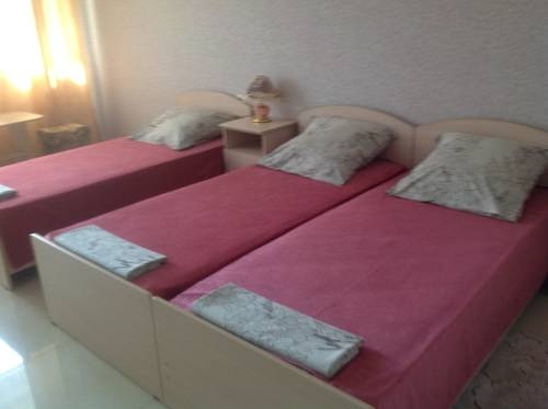 Imagen general del Podkova Hotel. Foto 1