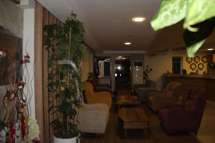 Imagen de los interiores del Polanin Hotel. Foto 8