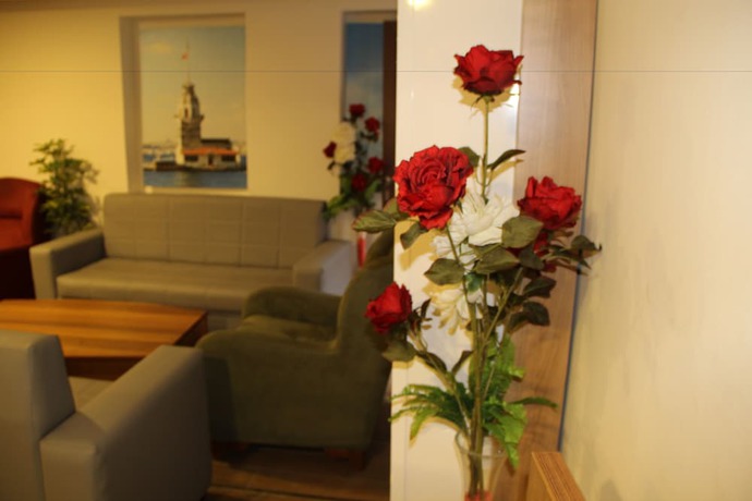 Imagen de los interiores del Polanin Hotel. Foto 9