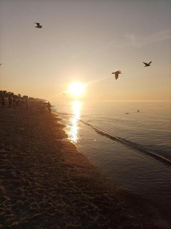 Imagen general del Politechnika Warszawska Ośrodek Wypoczynkowy. Foto 7