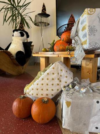 Imagen general del Politechnika Warszawska Ośrodek Wypoczynkowy. Foto 15