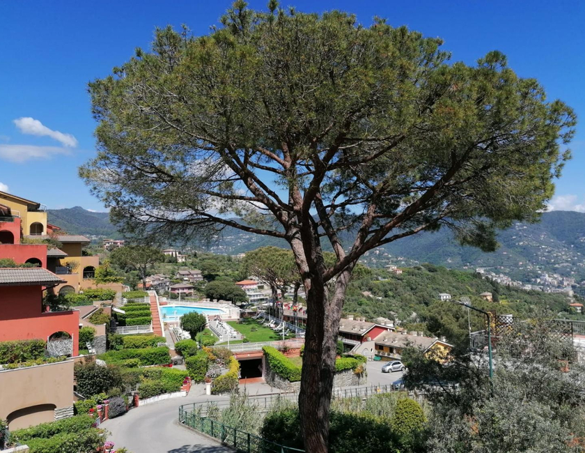 Imagen general del Portofino Est Residence. Foto 3