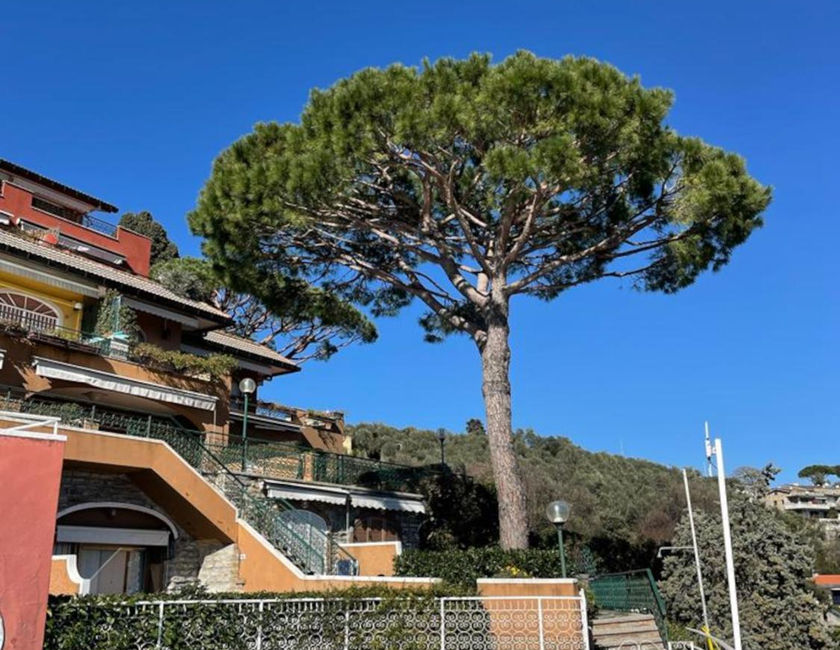 Imagen general del Portofino Est Residence. Foto 25