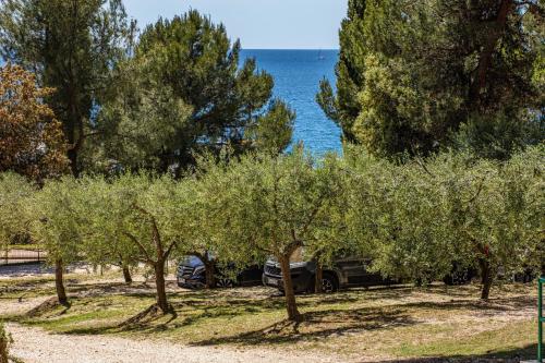 Imagen general del Porton Nature Hideout. Foto 5