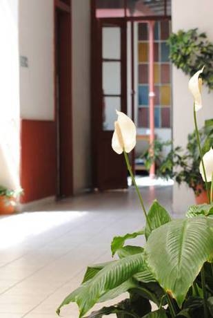 Imagen general del Posada Casa De Borgoña. Foto 37