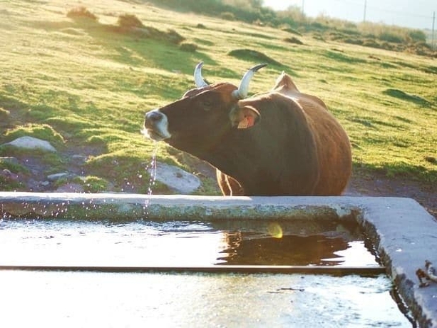 Imagen general del Posada La Sosiega. Foto 2