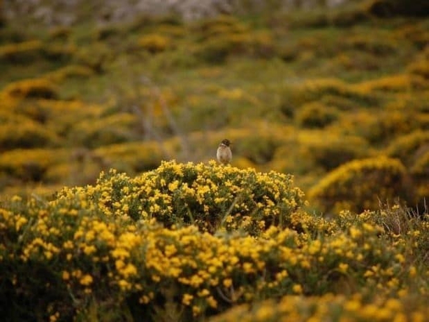 Imagen general del Posada La Sosiega. Foto 3