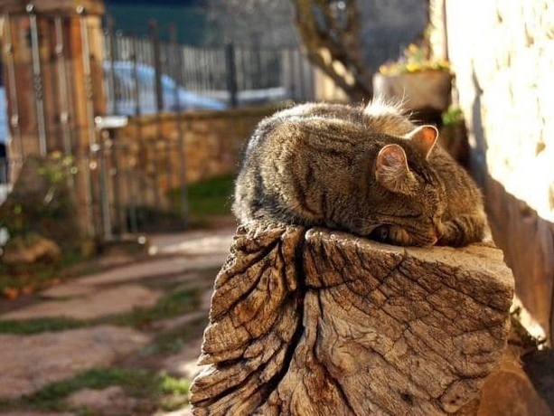 Imagen general del Posada La Sosiega. Foto 5