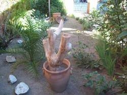 Imagen de la habitación del Posada Las Marias. Foto 41