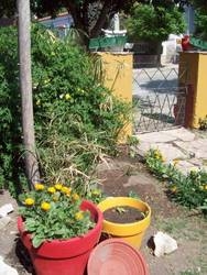 Imagen general del Posada Las Marias. Foto 31