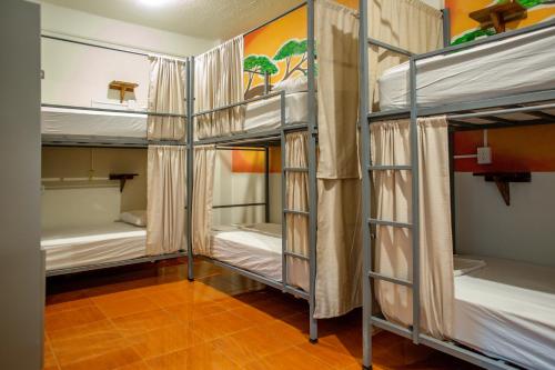 Imagen de la habitación del Posada Mixteca H, Puerto Escondido. Foto 18