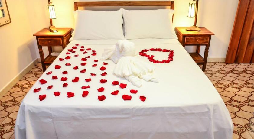 Imagen general del Posada Viva Brasil. Foto 11