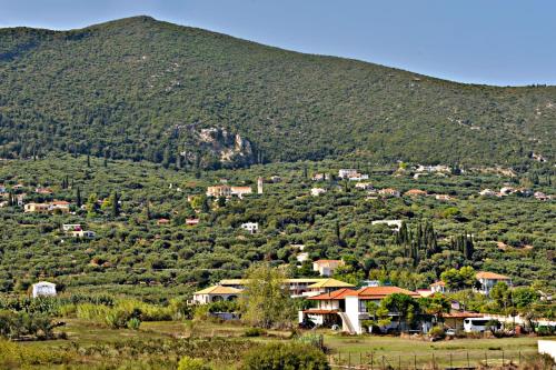 Imagen general del Pothos Hotel Alykes. Foto 6