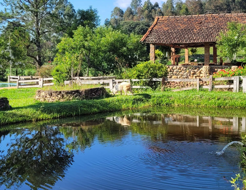 Imagen general del Pousada Fazenda Serra Que Chora. Foto 1