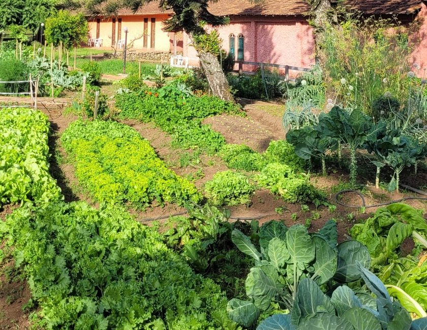 Imagen general del Pousada Fazenda Serra Que Chora. Foto 11