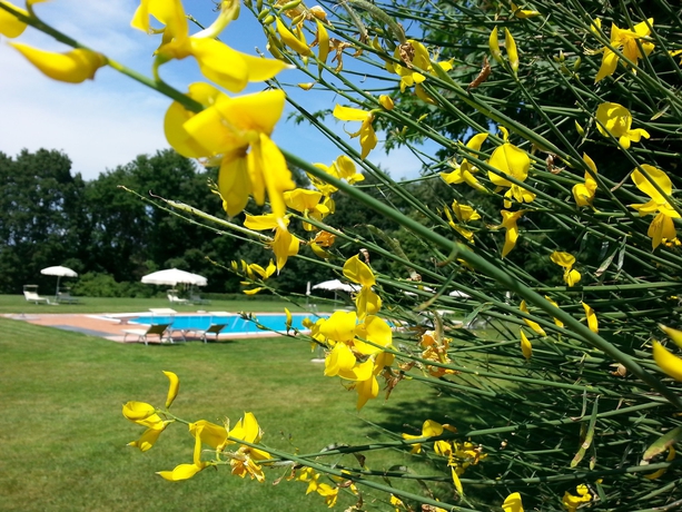 Imagen de la piscina del Pratello Country Resort. Foto 5