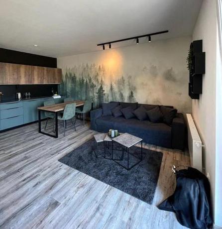 Imagen general del Prima Apartm&aacute;n Doln&iacute; Morava. Foto 5