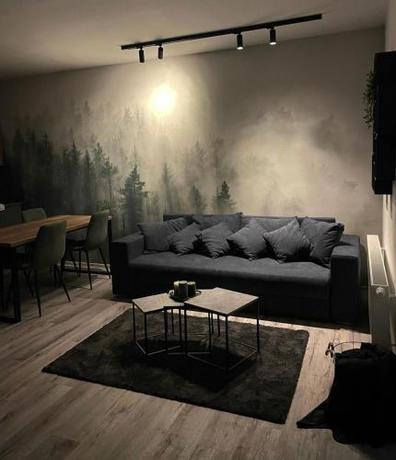 Imagen general del Prima Apartm&aacute;n Doln&iacute; Morava. Foto 9