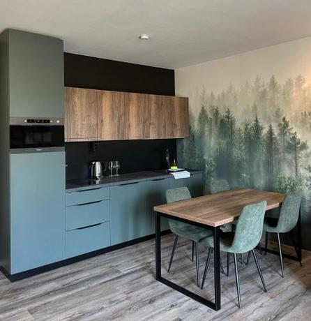 Imagen general del Prima Apartm&aacute;n Doln&iacute; Morava. Foto 15