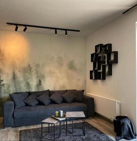 Imagen general del Prima Apartm&aacute;n Doln&iacute; Morava. Foto 16