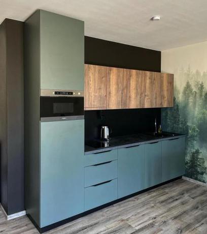 Imagen general del Prima Apartm&aacute;n Doln&iacute; Morava. Foto 18