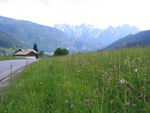 Imagen general del Privatzimmer Anneliese. Foto 12