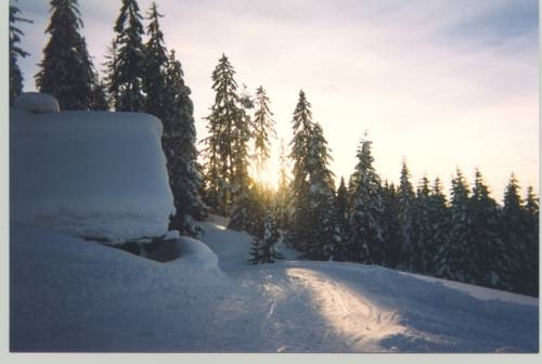 Imagen general del Privatzimmer Anneliese. Foto 13