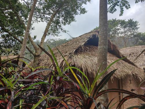 Imagen general del Pu Luong Homestay & Tours. Foto 9