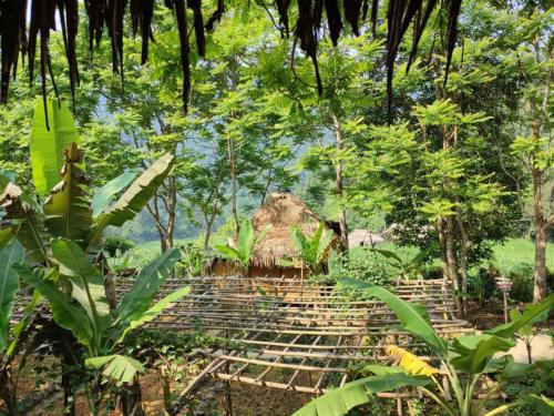 Imagen de la habitación del Pu Luong Homestay & Tours. Foto 19