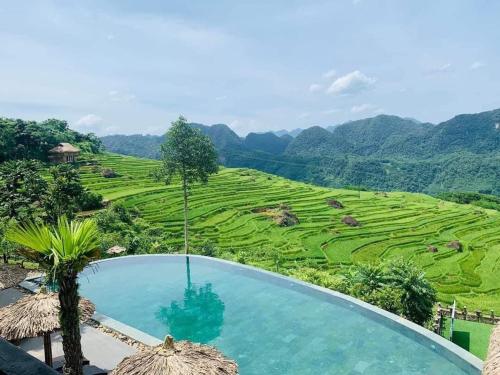 Imagen general del Puluong Casa Resort. Foto 7